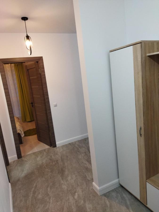 באיה מארה Apartament Gabriela מראה חיצוני תמונה