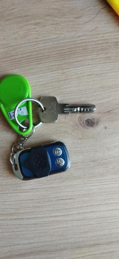 באיה מארה Apartament Gabriela מראה חיצוני תמונה